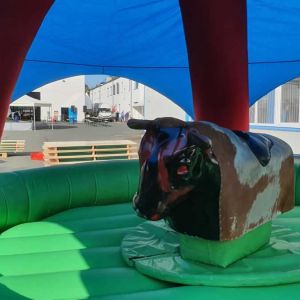 Partydome mieten, Überdachung, Wetterschutz Verleih