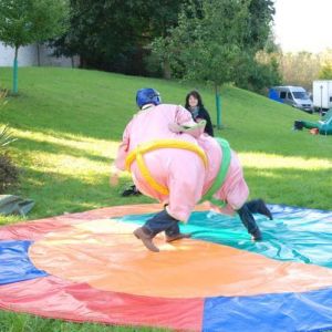 Sumoringen mieten, Sumo-ringen Vermietung