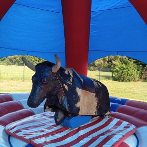 Partydome mieten, Überdachung, Wetterschutz Verleih