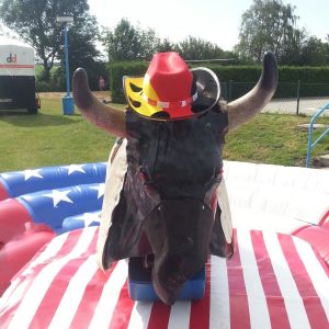 american bullriding mieten, Vermietung Leipzig