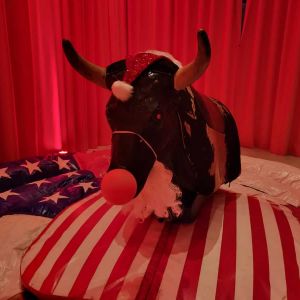 american bullriding mieten, Vermietung Leipzig