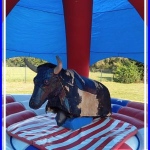 american bullriding mieten, Vermietung Leipzig