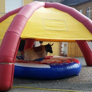 Partydome mieten, Überdachung, Wetterschutz Verleih