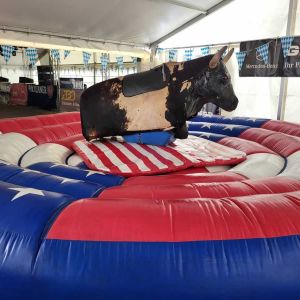 american bullriding mieten, Vermietung Leipzig