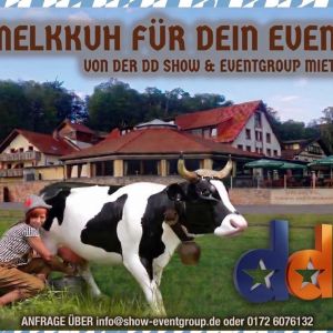 Melkkuh Vermietung, Wettmelkkuh mieten, Verleih