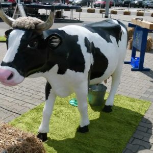 Melkkuh Vermietung, Wettmelkkuh mieten, Verleih