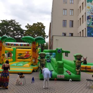 Hüpfburg Dschungel Mieten, Vermietung, Verleih
