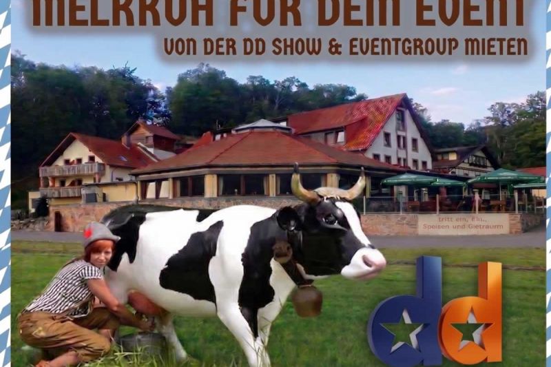 Melkkuh Vermietung, Wettmelkkuh mieten, Verleih