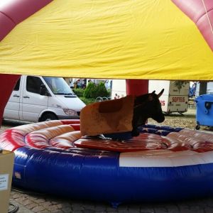 Partydome mieten, Überdachung, Wetterschutz Verleih