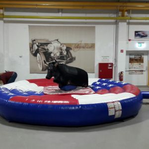 american bullriding mieten, Vermietung Leipzig