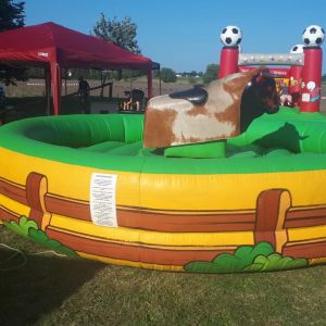 Rodeo Vermietung, Bullriding mieten, elektrischer Bulle Verleih