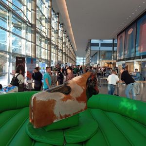 Rodeo Vermietung, Bullriding mieten, elektrischer Bulle Verleih